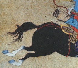 horse at false gallop